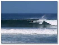 surf.jpg